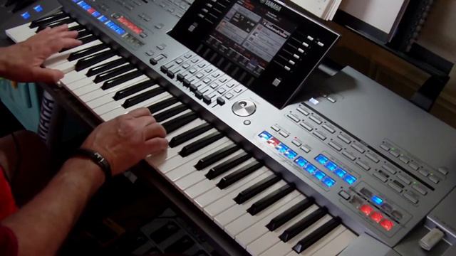 Wild Wood (Cover) - Yamaha Tyros 5 смотреть онлайн