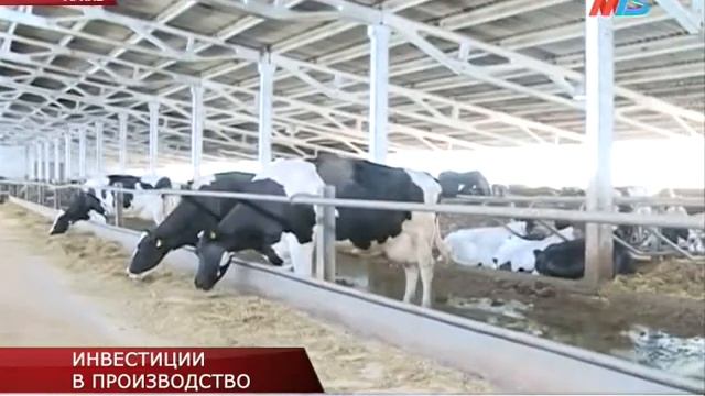 ИНВЕСТИЦИИ В ПРОИЗВОДСТВО смотреть онлайн