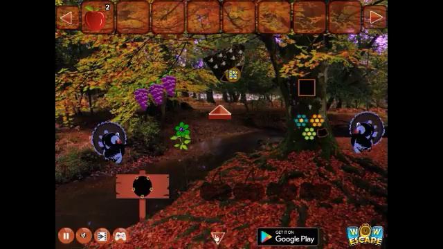 Wow Escape Game Save The White Turkey walkthrough.