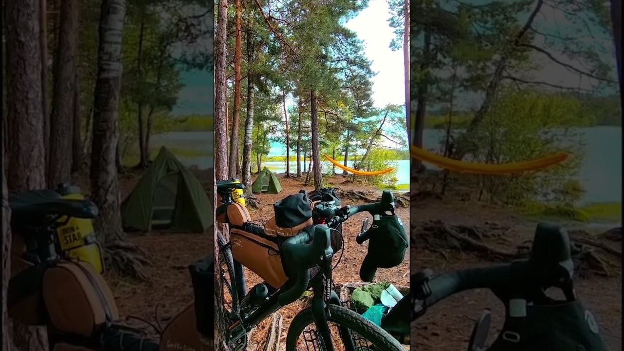 #shorts Для чего по-настоящему нужен велосипед смотреть онлайн