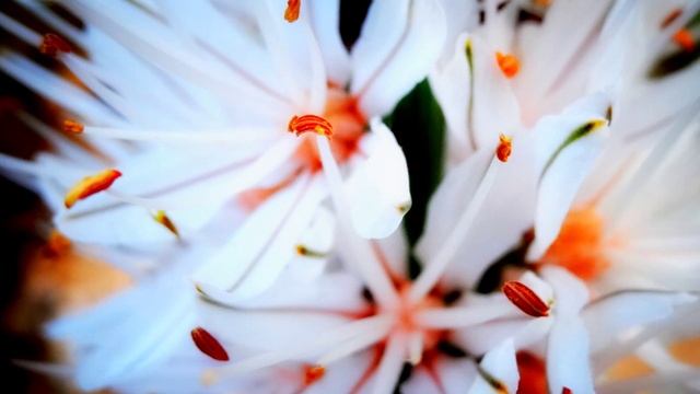 TEST SONY CyberShot DSC-HX20V PHOTO 3200-100 ISO смотреть онлайн