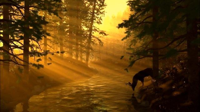 Прильну Словно Лань к Воде (DZ) смотреть онлайн