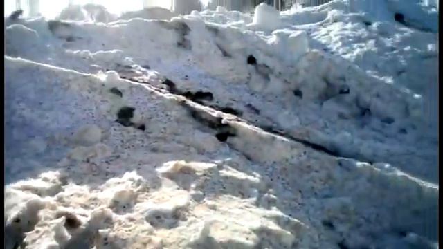 После облета, если гадить то по взрослому . смотреть онлайн