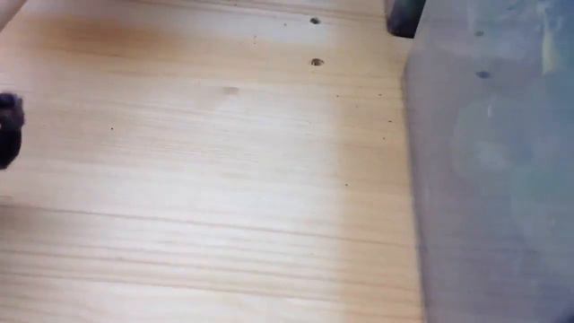 Паук нападает. смотреть онлайн