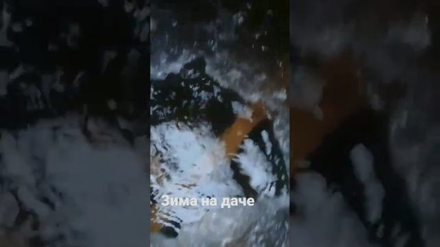 ?Как зимой живётся на даче?? #зима#дача#февраль#2023#мороз#animals#природа#nature#winter#february смотреть онлайн