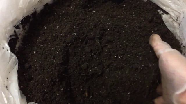 Грунт для рассады смотреть онлайн