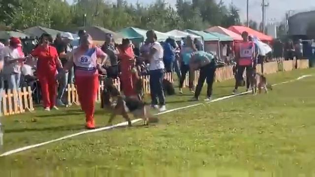 VID_20240815_071551_727.mp4 смотреть онлайн