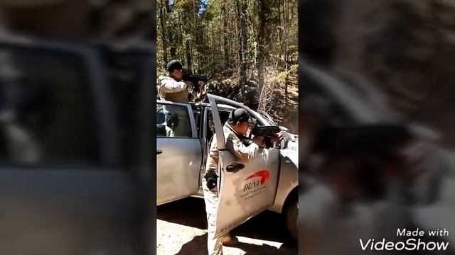 DUNA CHIHUAHUA смотреть онлайн