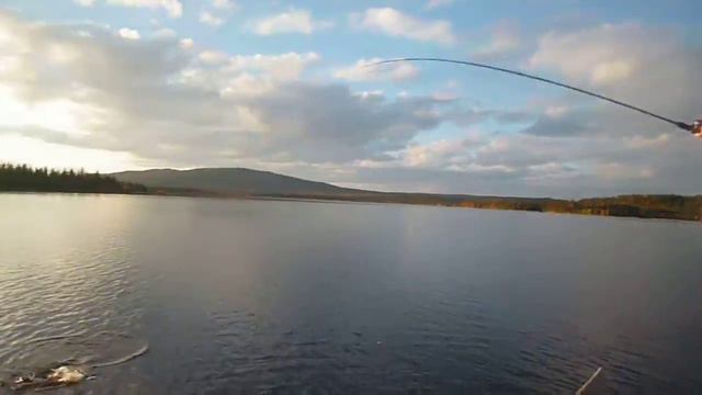 Megabass Live-X Revenge и Окунь! смотреть онлайн
