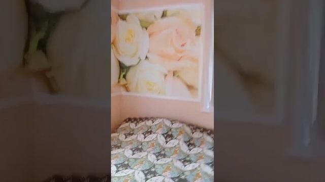 Квартира в доме квартирного типа на 2 хозяина в с. Ржевка Шебекинского района смотреть онлайн