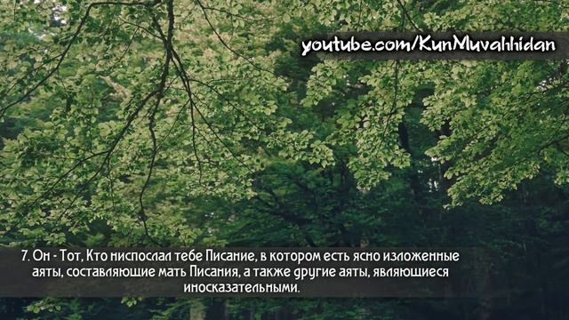 АбдурРахман ар-Рушуд. Сура 3 «Семейство Имрана» (1-9) смотреть онлайн