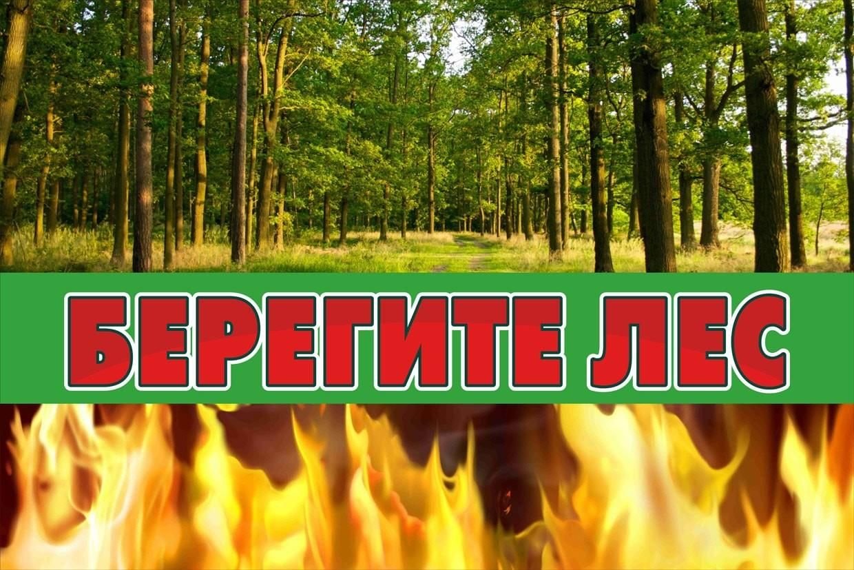 Берегите лес от ПОЖАРА! смотреть онлайн