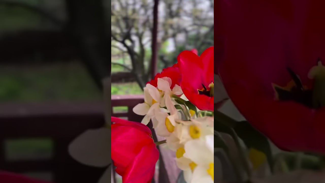 24 мая 2024 г. смотреть онлайн