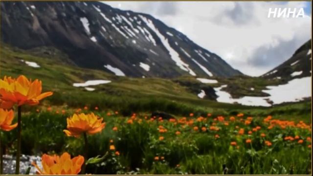 РАСКИДАЛО НАС - Михаил КАРМАШ смотреть онлайн