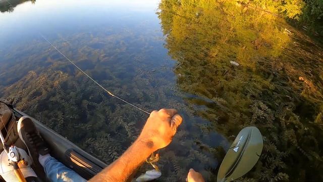 Kayak Fishing SOLO!!!! смотреть онлайн