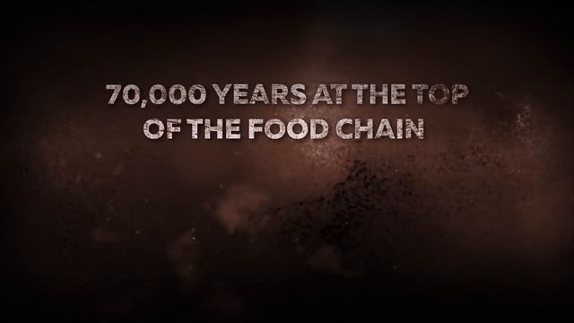 WORLD WAR Z Trailer (2018) Zombie Game смотреть онлайн