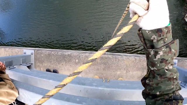 Эти сазаны весь паук подъемник согнули. Рыбалка на паук подъемник с моста в конце осени. #낚시#fishin смотреть онлайн