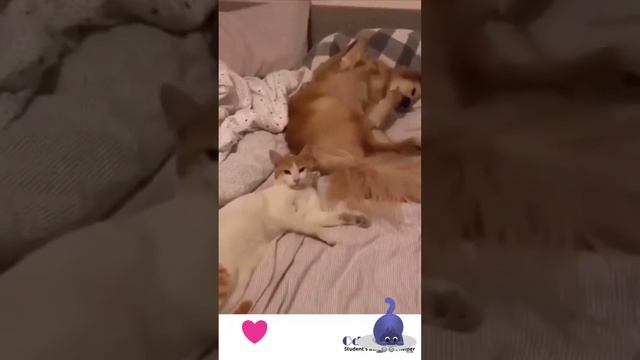 Отключаем будильник