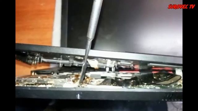 Подборка. Жесть! Жуки и тараканы в ноутбуках! смотреть онлайн