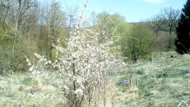Христианские стихи с очень глубоким смыслом. смотреть онлайн