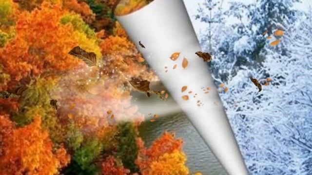 Вход детей на осенний праздник. микс. Озвучка С. Кузнецов. Песня Л. Горцуевой смотреть онлайн
