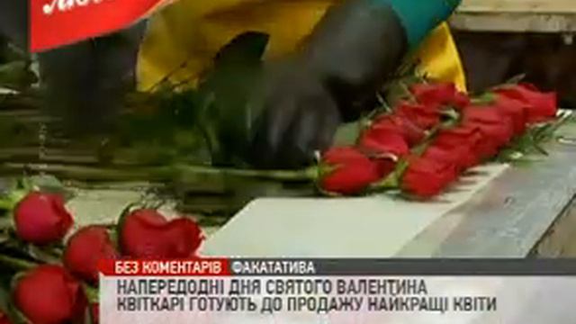 Вот так проходила подготовка к Дню Святого Валентина в Колумбии смотреть онлайн