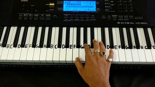 Dil Diya Hai Jaan Bhi Denge Tutorial | Karma | Easy to Learn | Slowly Played | Casio 860 IN смотреть онлайн