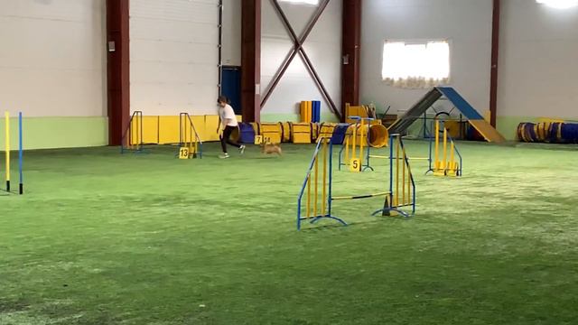 Чемпионат ЛО Джампинг Андреева Елена и метис ИРИСКА смотреть онлайн