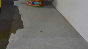 ОБУЧАЮЩЕЕ НАНЕСЕНИЕ: Полиуретановая система покрытий Полимерстоун-2 / ПС-Грунт