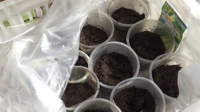 Ах, кабачок, кабачок ! смотреть онлайн