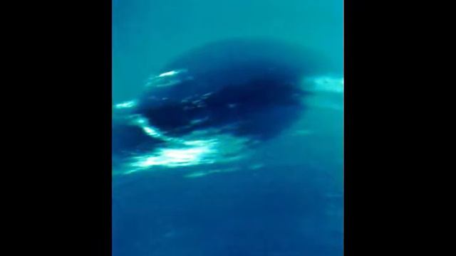 Neptuno , Planeta Azul смотреть онлайн