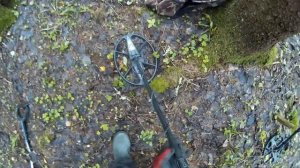 АКА СИГНУМ обзор косяков металлоискателя