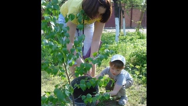 Старый дом 0001 смотреть онлайн