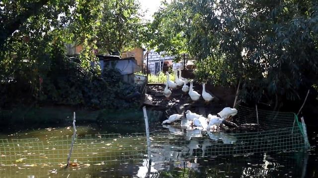 Путешествие по р. Гнилуша Красный Сулин смотреть онлайн