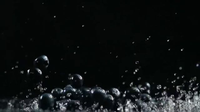 Litmoise | Производство сублимированных продуктов, сухих экстрактов смотреть онлайн