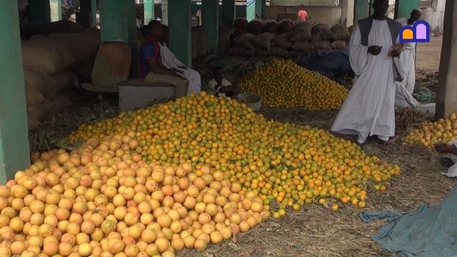Sudan - Daily Life In Port Sudan