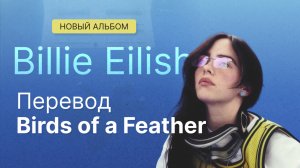 Перевод песни Birds of a Feather с нового альбома Billie Eilish «Hit Me Hard and Soft»