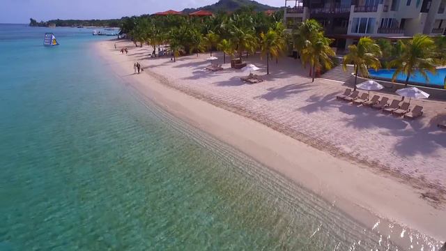TROPICAL DRONE WEDDING: MJ & RENE смотреть онлайн
