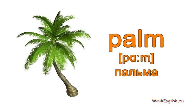 Английские слова - Деревья. Trees