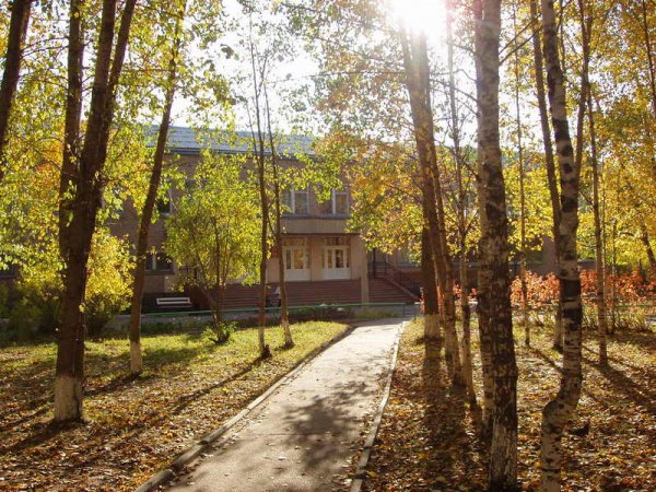 Мастер класс Эмоциональный интеллект