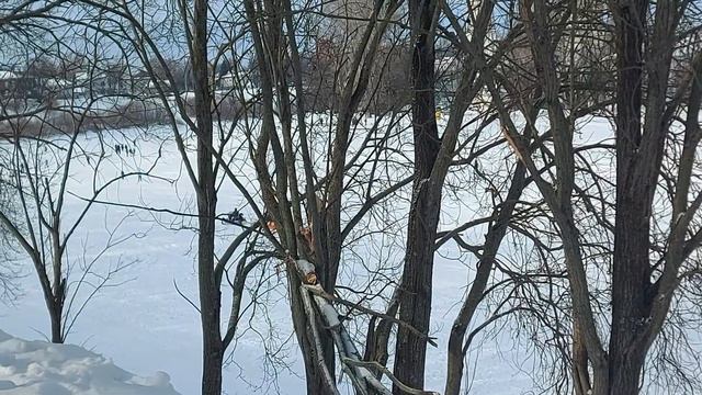 Катание на карандаше по Вологде (24.02.23) смотреть онлайн