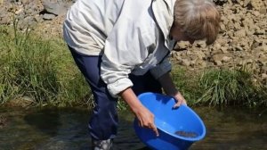 Почему корабли не тонут?