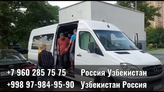 Санкт-Петербург Ташкент автобус,такси смотреть онлайн
