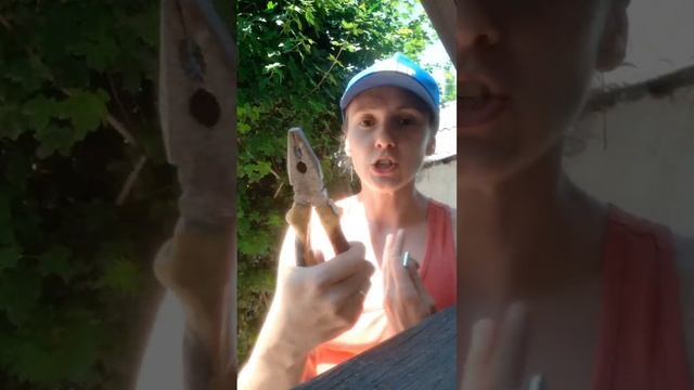 Кашпо для петуний. Как подвесить. #shorts #петуньи #рассада #садовыецветы