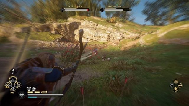 Редкие животные: Стейнбьёрн; Медведи; Рыси; Волки; Чёрный Шак. Assassin's Creed Valhalla Вальгалла смотреть онлайн