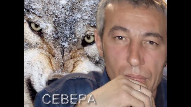 Закушу удила смотреть онлайн
