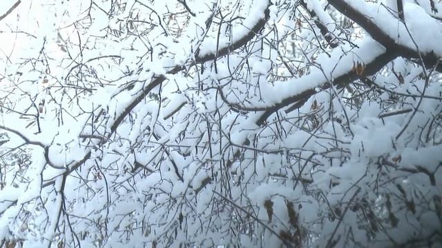 Плещеев, Рахманинов 