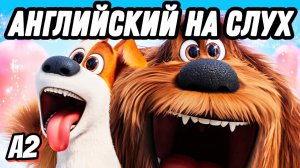 Learn English with the Secret Life of Pets Chloe's Advice episode (Lesson 47)
