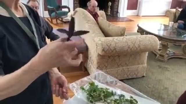 Building The Mansion Geranium Garden