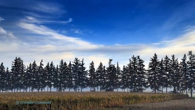 ОСОЗНАНИЕ ... глава 12 КЛЮЧ ... смотреть онлайн